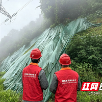 国网株洲供电公司:暴雨特巡 守护电网“主动脉”安全