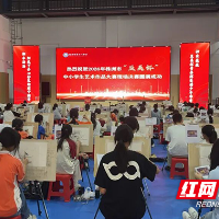 2026年株洲市“至美杯”中小学生艺术作品大赛决赛举行