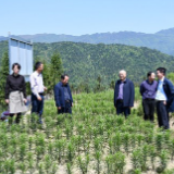 湖南化工职院：情系横路村 助力脱贫攻坚