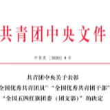 好消息！株洲两名青年、两家团组织获团中央表彰