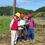 国网醴陵供电公司：电能替代进菜棚 蔬菜用上“新鲜”电