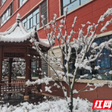 天元区：一组校园雪景明信片请查收