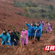 株洲市卫计监督执法局开展植树节活动