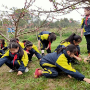 团山小学四中队为“果农山庄”志愿拔草