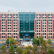 株洲高新区:种好梧桐树 引得凤凰来