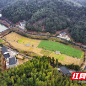 天元区：落实早稻生产 调小“抱怨声”调大“放水声”