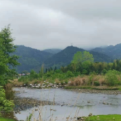 炎陵县水口镇：“河长制”让滩涂湿地变身白鹭栖息地