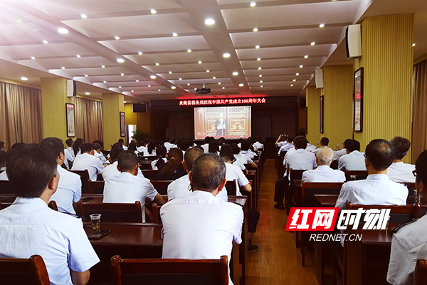 炎陵县税务局集中观看庆祝中国共产党成立100周年大会。（记者 龙琦）.jpg