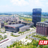 株洲高新区：产业“强筋壮骨” 集群效应显活力