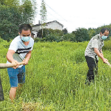 天元区：乡村建设快马加鞭