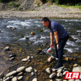 炎陵县水口镇：严格落实河长制 确保河畅水清岸绿景美