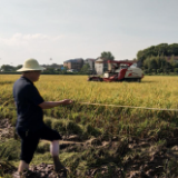 醴陵农艺师丁秋凡获“湖南省十佳农技推广标兵”称号