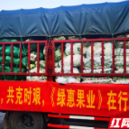 爱心企业捐赠39000斤蔬菜助力天元区疫情防控