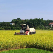 醴陵市新东堡村推广稻草粉碎还田技术