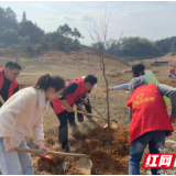 醴陵义务植树干劲足 绿满大地不负春