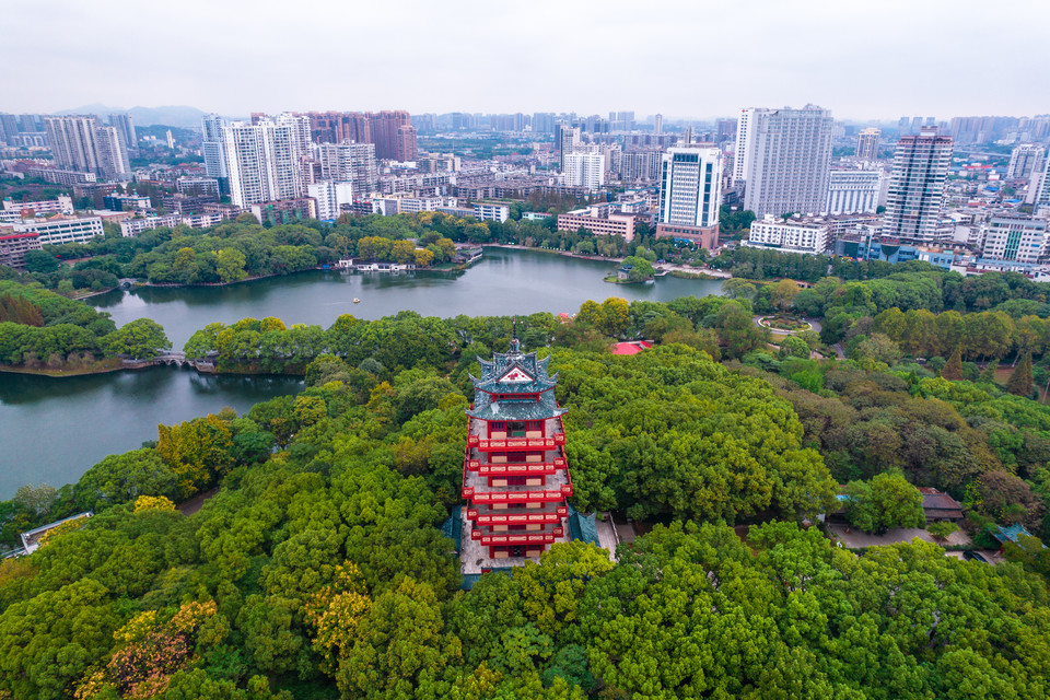 株洲市“三高”指挥部召开月调度会