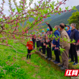 炎陵水口镇自源村驻村工作队“四式”服务助力乡村振兴