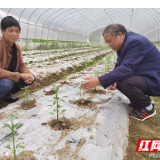 立足“四早四抓” 醴陵市春耕备耕掀热潮