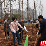 株洲全民义务植树活动拉开序幕