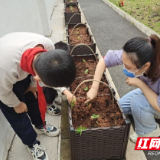 莲塘小学： “双减”之下 给劳动教育做“加法”