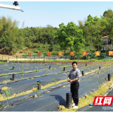 天元区：看一条蚯蚓如何“串起”智慧农业链条