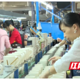 优秀！醴陵新增8家省级“小巨人”企业