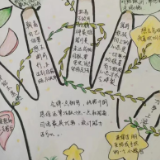株洲市一中举行“我的生命树”心理绘画创作活动