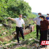 荷塘区政协调研八达小学创文工作