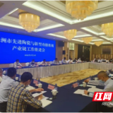 株洲市先进陶瓷与新型功能玻璃产业链工作推进会在醴召开