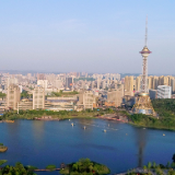 天元区：志愿服务当先锋 助力创建文明城