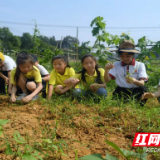 高家坳小学·团山小学教育发展共同体开展劳动实践活动