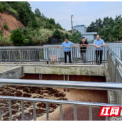 炎陵县一企业因超标排放水污染物被重罚