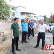 付访华督导重点交通项目建设