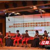 芦淞区中小学音乐教师育人素养系列培训活动在何家坳小学举行