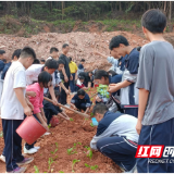 龙凤庵中学：自力更生促成长 五育并举提素质