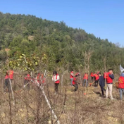 文明实践在醴陵丨春风添新绿 植树正当时