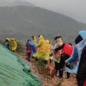 醴陵：植树增绿 助推乡村振兴