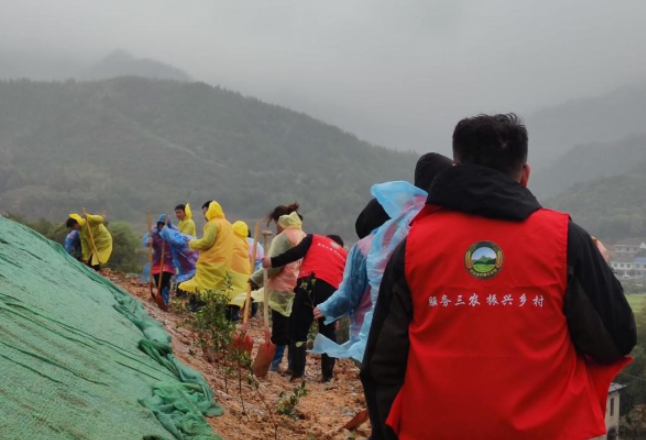 醴陵：植树增绿 助推乡村振兴