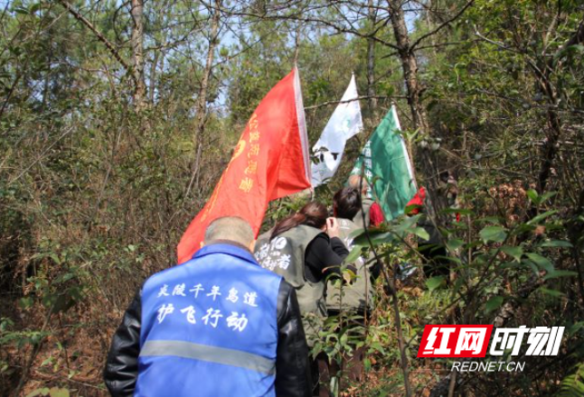 炎陵开展“世界野生动植物日”宣传巡护活动