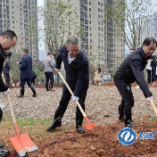 快讯｜曹慧泉等市领导参加义务植树活动