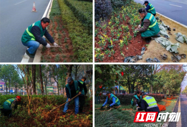 醴陵：抢抓好时节 植绿补绿忙