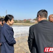 醴陵王仙镇：种粮加奖补 农民热情高