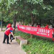 文明实践在醴陵丨“地毯式”清理绿化带 还城市靓丽风景