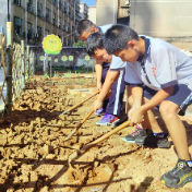 红旗路小学打造“阳光种植乐园”