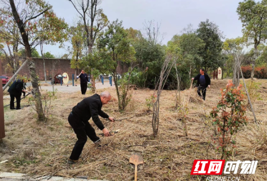 醴陵孙家湾镇：“党建红”引领“生态绿”