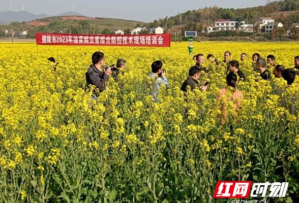 醴陵市再添一家“全国农民专业合作社示范社”