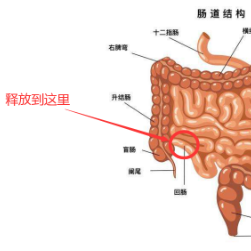 遭遇腹部重创，株洲市中医伤科医院提醒应及时就医检查