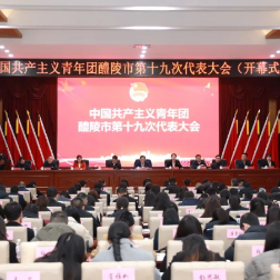 共青团醴陵市第十九次代表大会第一次全体会议举行