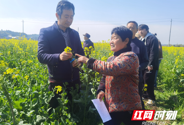 醴陵：技术培训送到田间 确保油菜高产