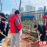 天元区新马小学开展毕业班植树活动